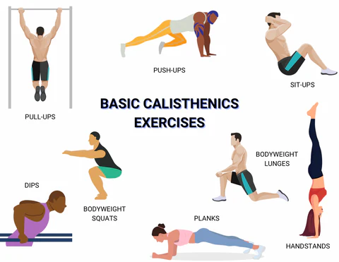 Calisthenics vs Weight Training: The Ultimate Showdown for Your Fitness Goals 2025 3 basic Calisthenics exercice