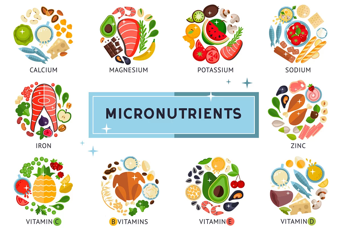 25 Healthy Snacks for Teens: Quick, Tasty & Nutritious Ideas (2025) 3 Micronutrient